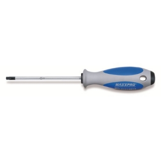 MAXXPRO Torx T25